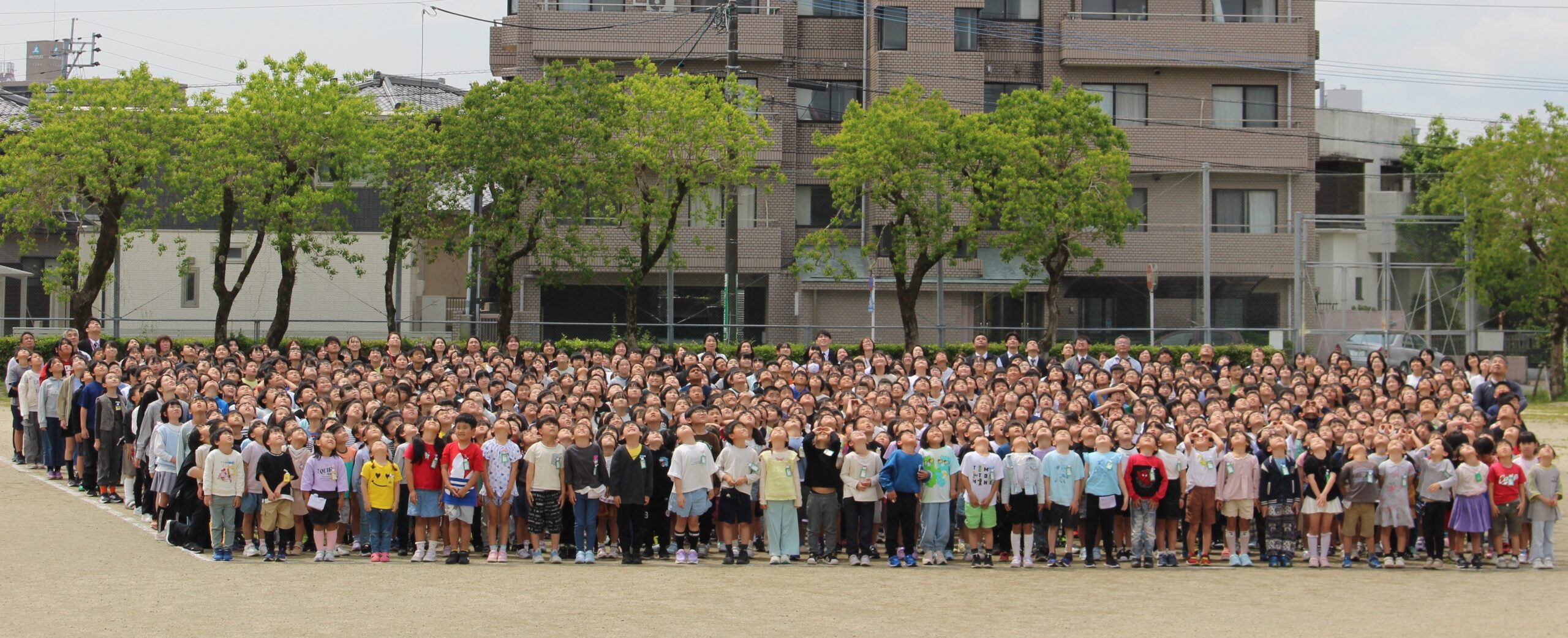 西池小学校の様子